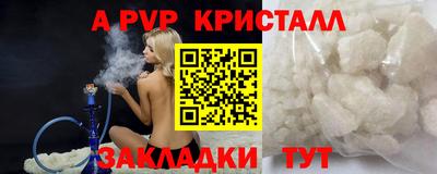 бошки Кимры